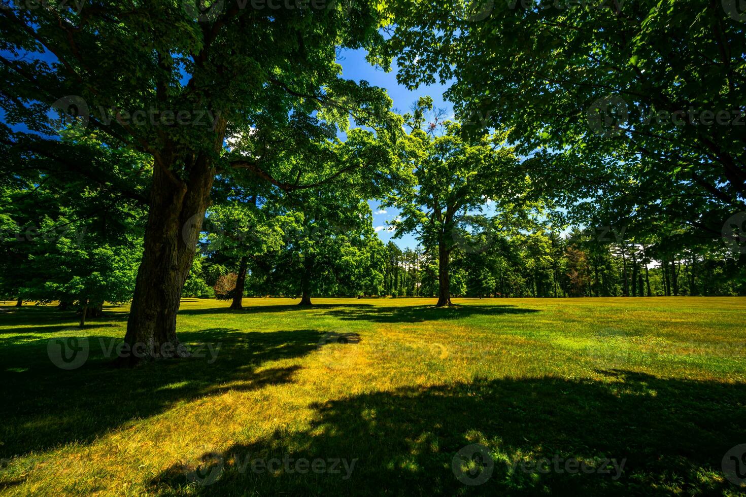 vanderbilt Manoir nationale historique site photo