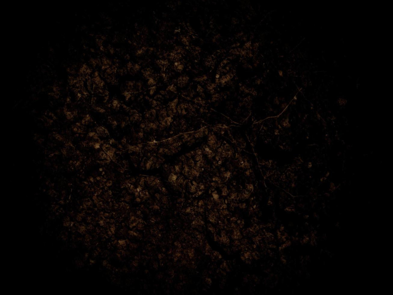 texture de terre sombre dans le jardin photo
