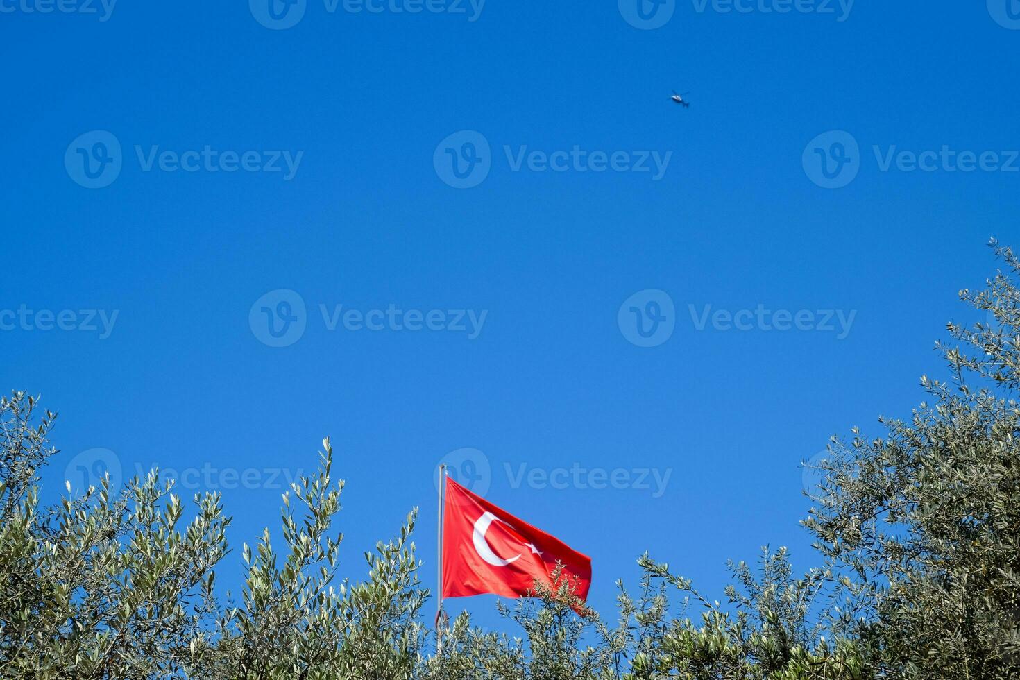 turc drapeau contre le bleu ciel et hauts de le des arbres. photo