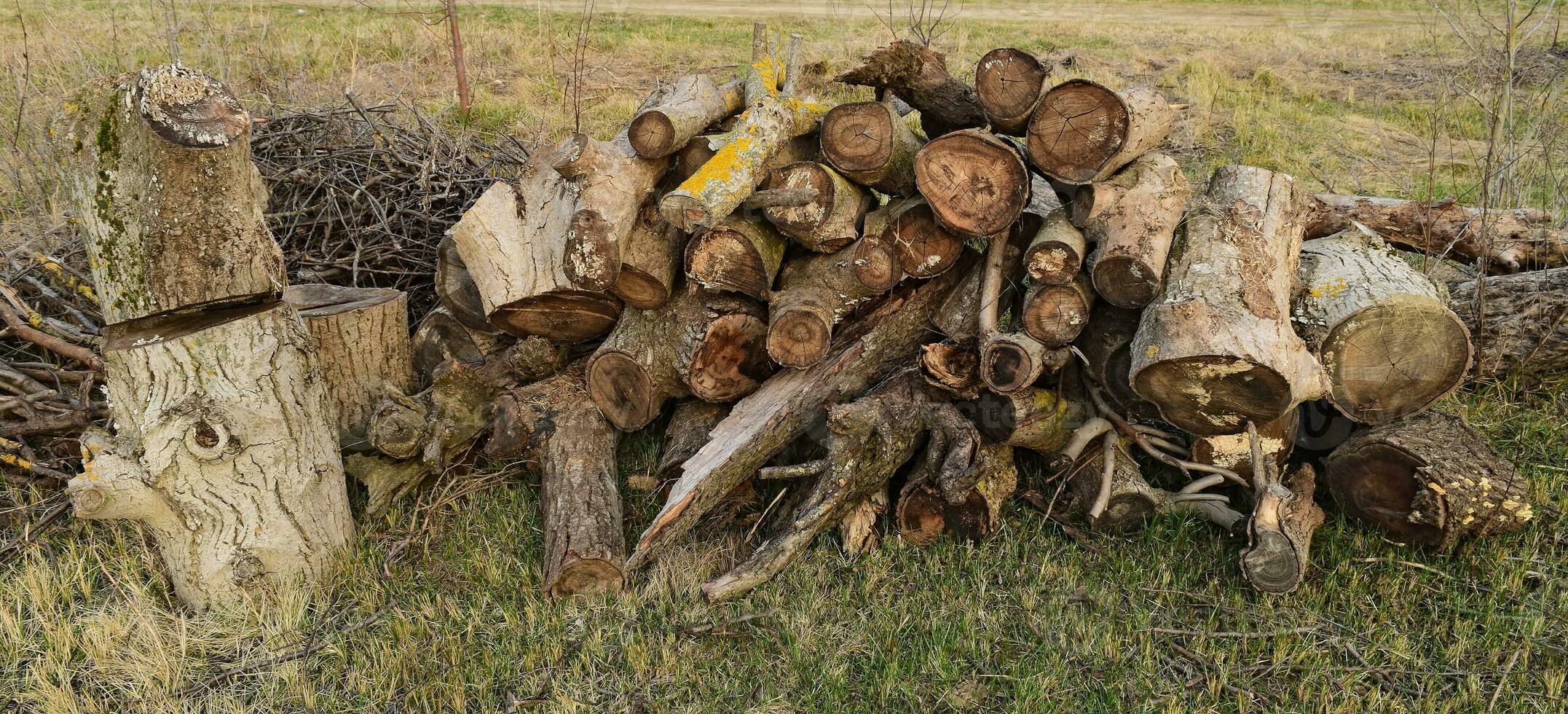 une petit pile de bois de chauffage empilés photo