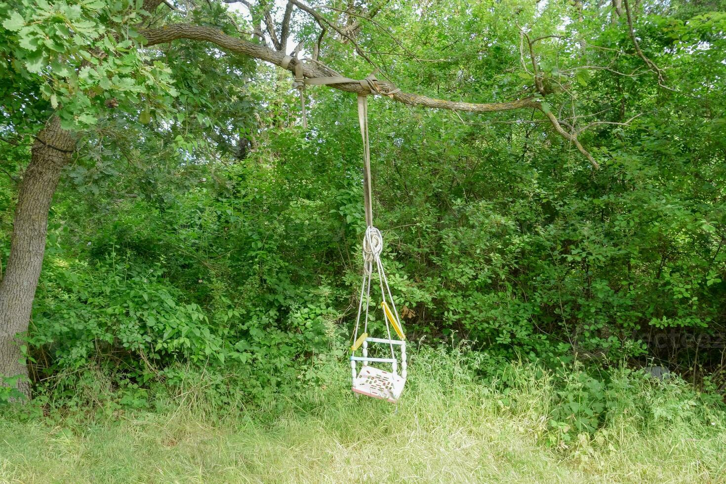 enfants balançoire sur une branche de un vieux arbre. enfants loisir dans le jardin. photo