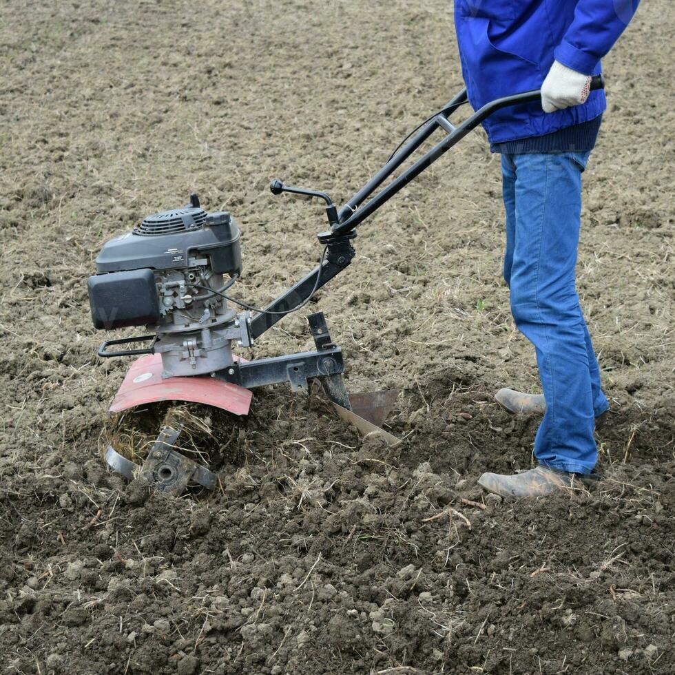 plantation patates en dessous de le à pied tracteur photo