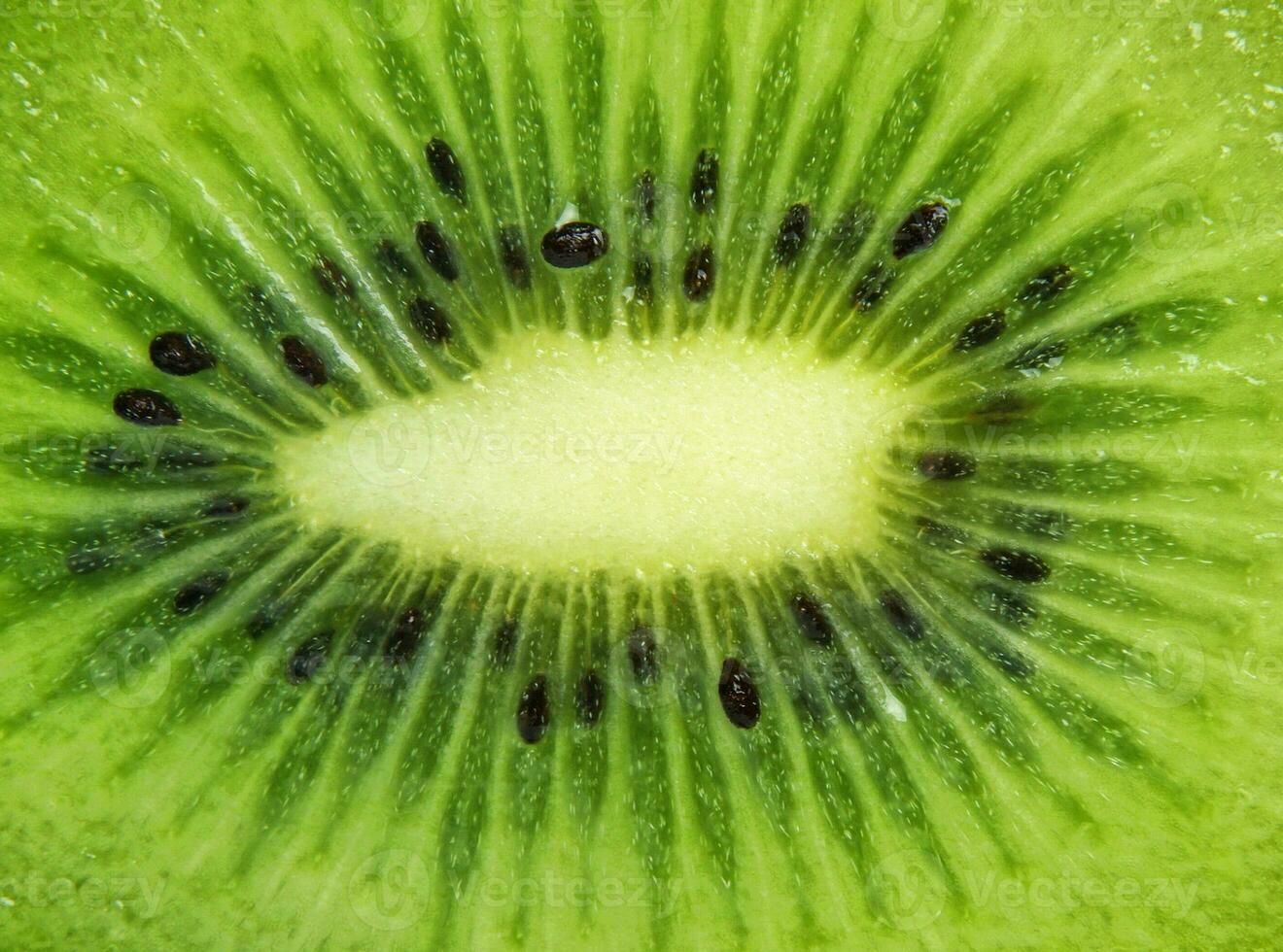 fond de kiwi frais photo