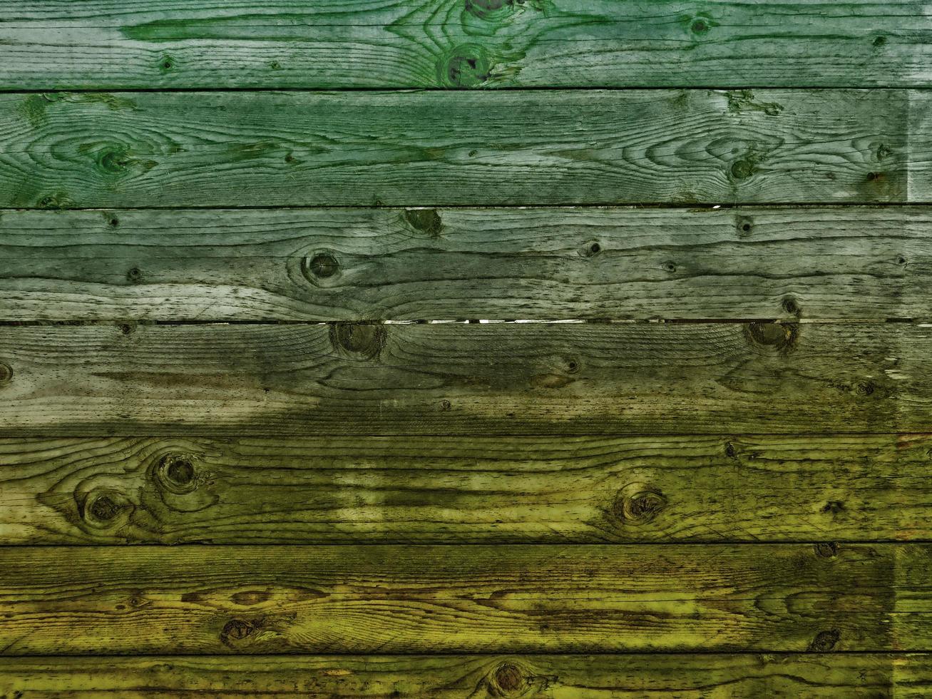 texture du bois dans le jardin photo