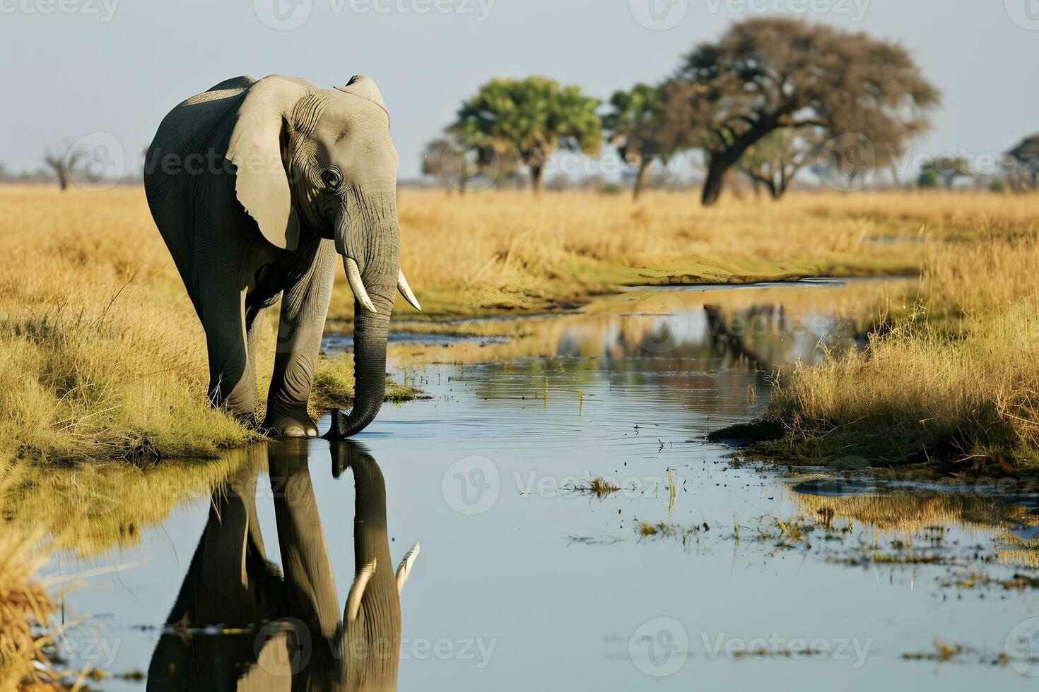 ai généré image de une grand l'éléphant permanent près une rivière. photo