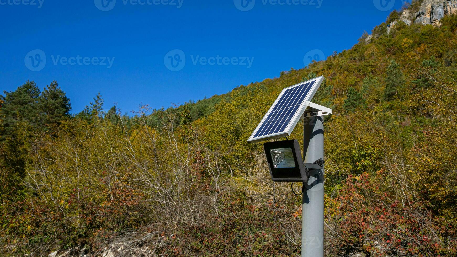 ai généré solaire panneau lumières en haut forêt scène photo