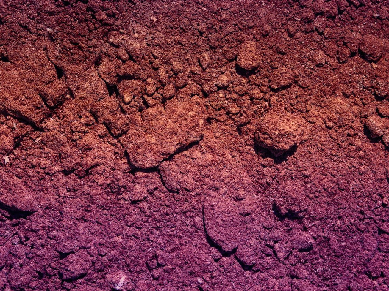 texture de la terre violette photo