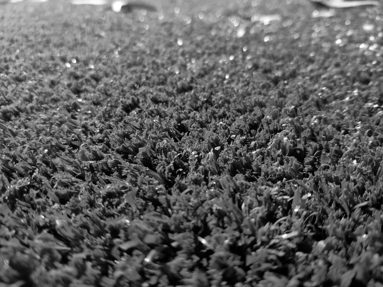 noir et blanc herbe Contexte proche voir, niveaux de gris herbe photo