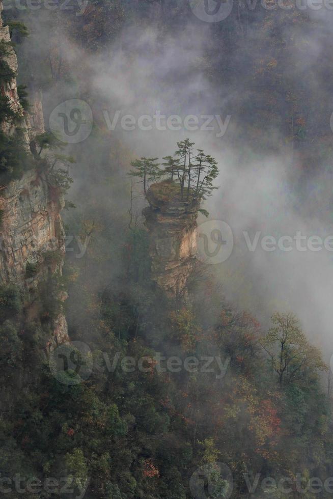 beau fils du ciel montagne tianzishan dans la province du hunan en chine photo