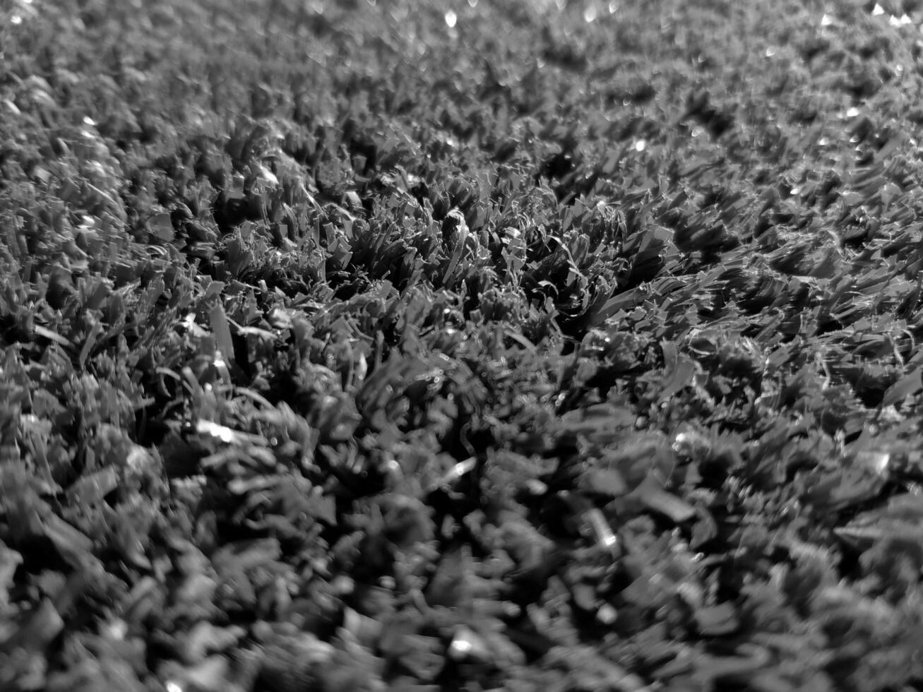 noir et blanc herbe Contexte proche voir, niveaux de gris herbe photo