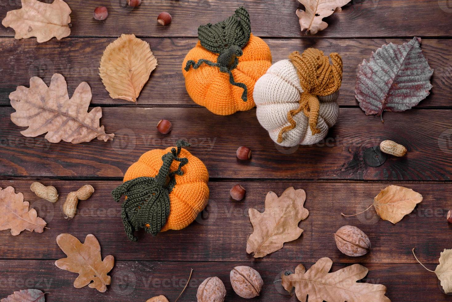 citrouilles et feuilles tricotées photo