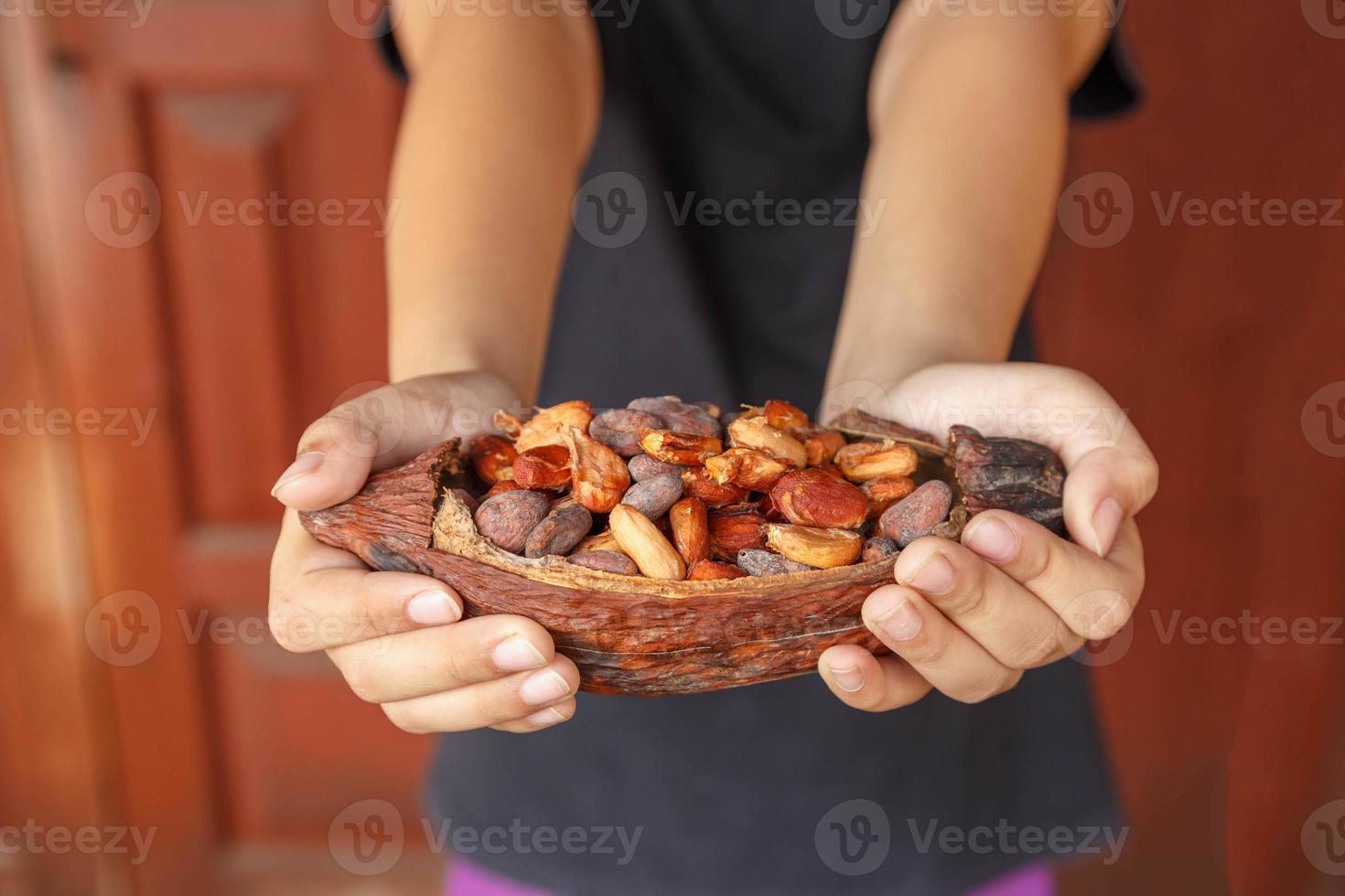 fèves de cacao sèches à portée de main photo