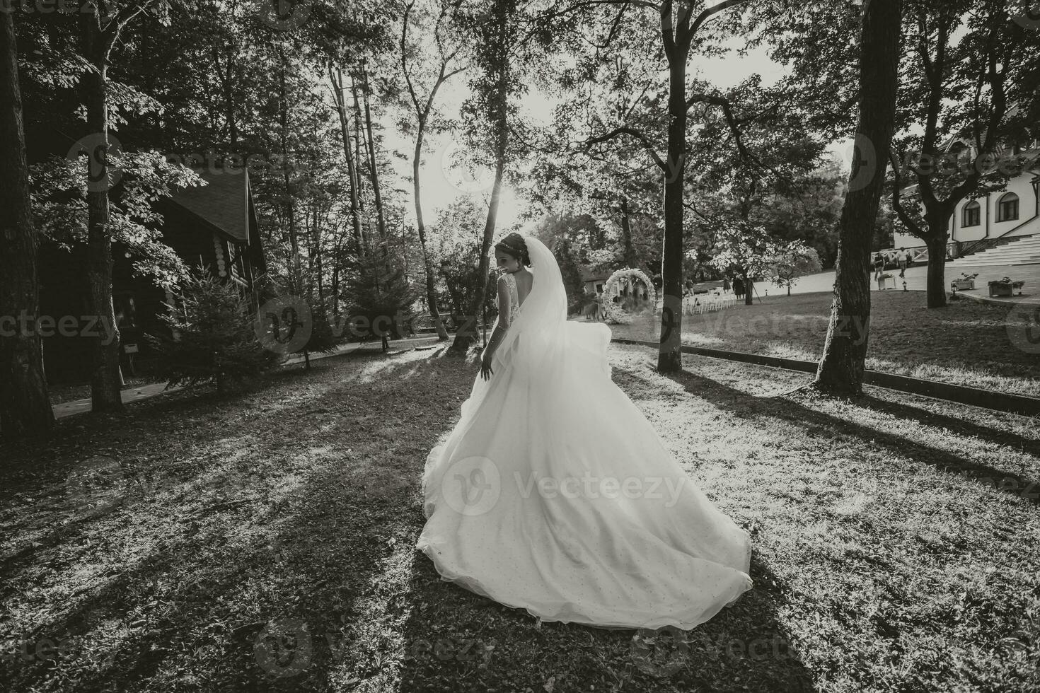 magnifique la mariée dans une mariage robe avec une longue train permanent retour dans le forêt. noir et blanc photo