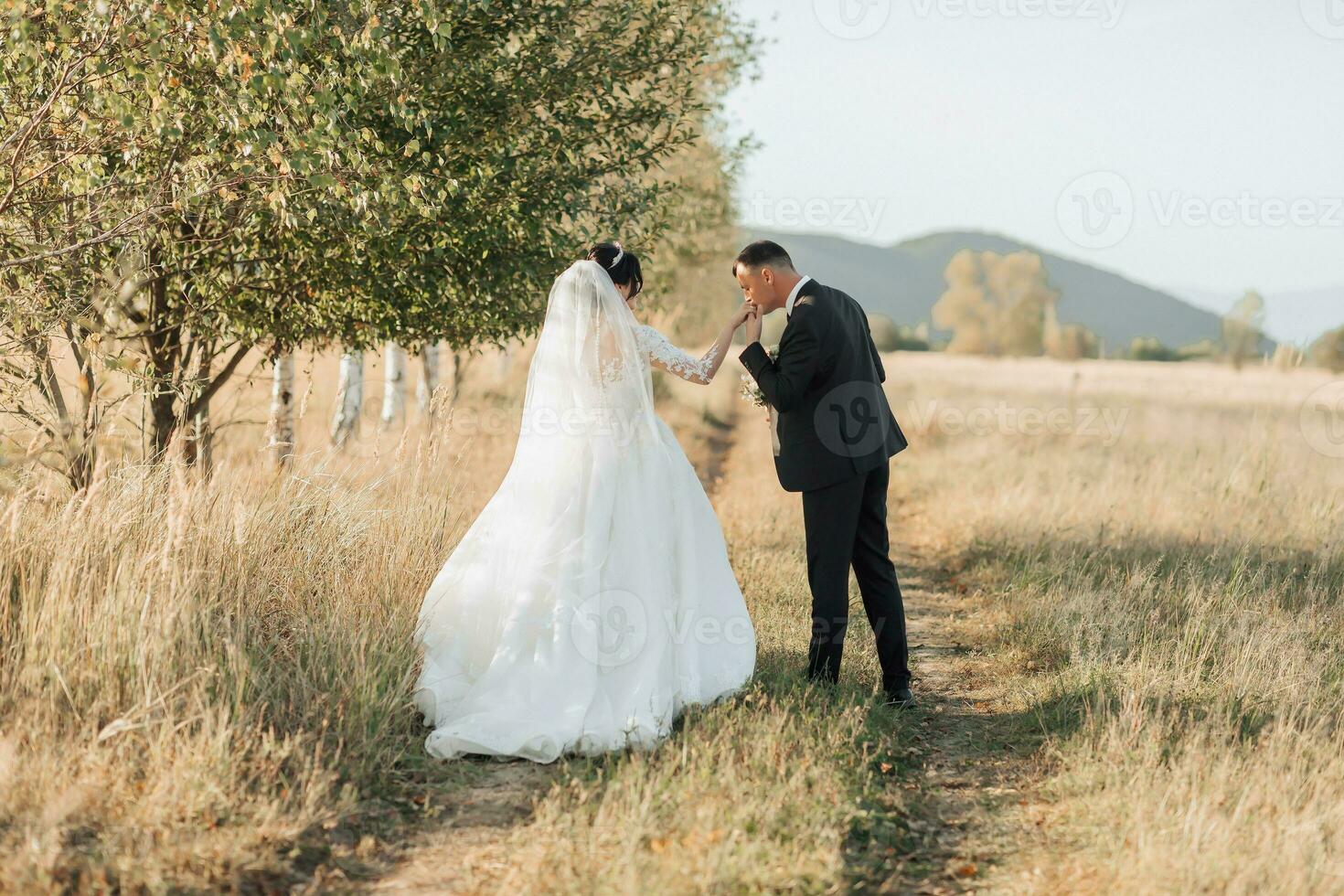 une grand angle portrait de une la mariée et jeune marié en marchant à travers une champ contre le toile de fond de montagnes. le jeune marié baisers le de la mariée main. arrière voir. une magnifique robe. photo