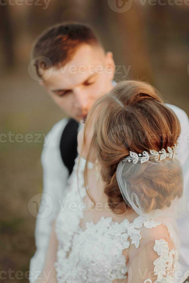 mariage photo dans la nature. le jeune marié est séance sur une en bois rester, le la mariée est permanent suivant à lui, il câlins sa épaules et baisers son. portrait de le la mariée et jeune marié