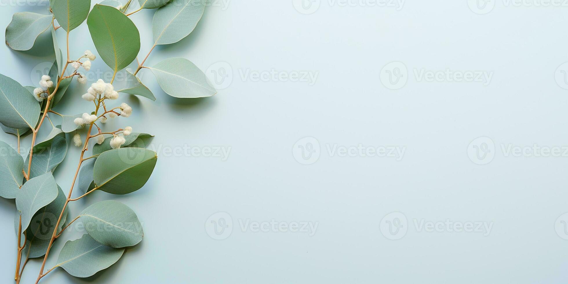 ai généré plat allonger avec eucalyptus branches et feuilles sur une bleu Contexte. esthétique Cadre de eucalyptus feuilles, frontière photo