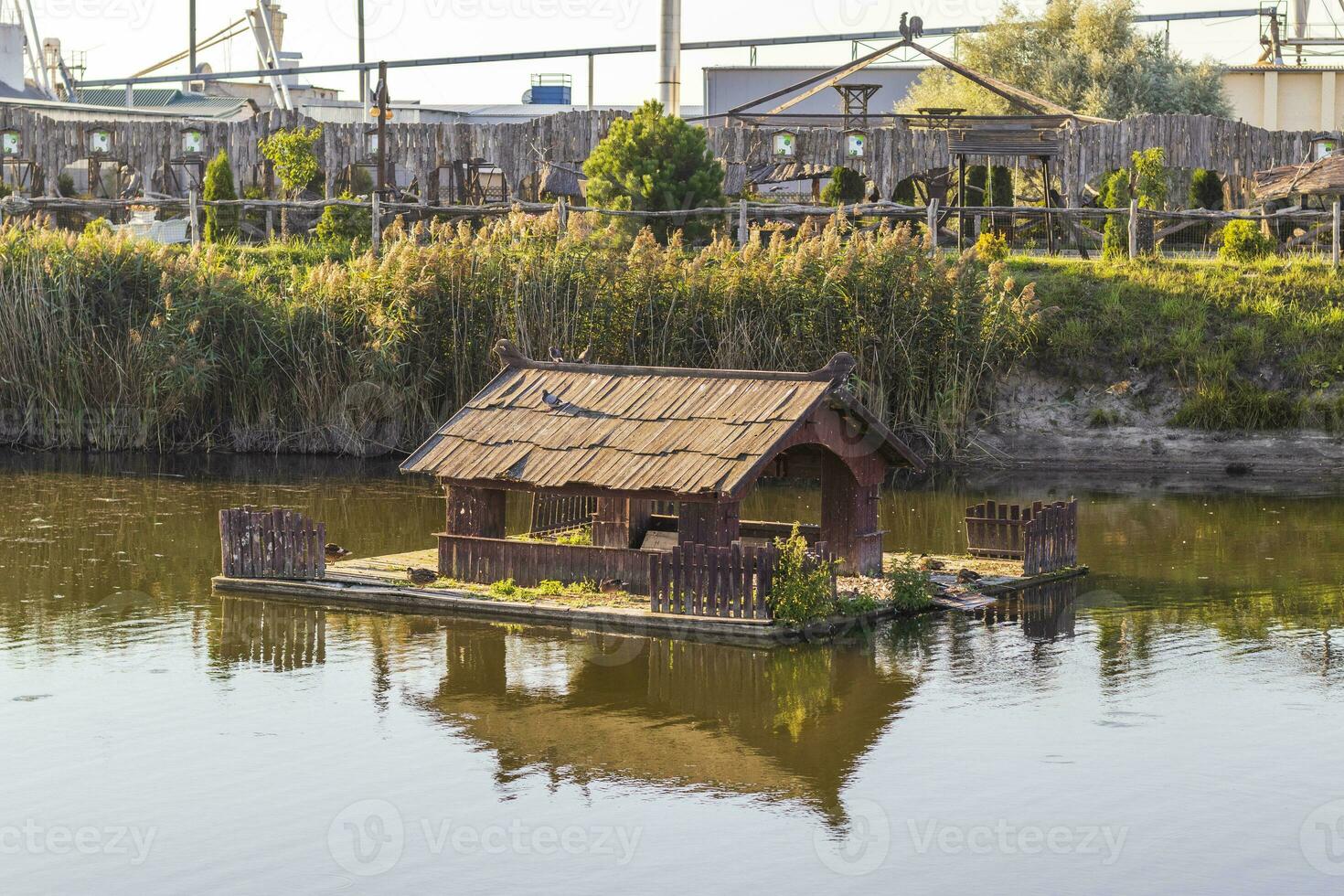 coup de le en bois rat musqué et oiseau mangeoire sur le banque de le rivière. village photo