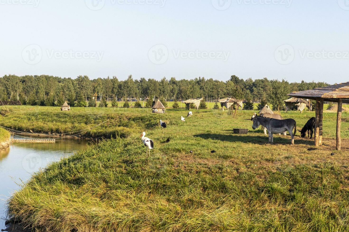 coup de le rue dans le village. rural photo