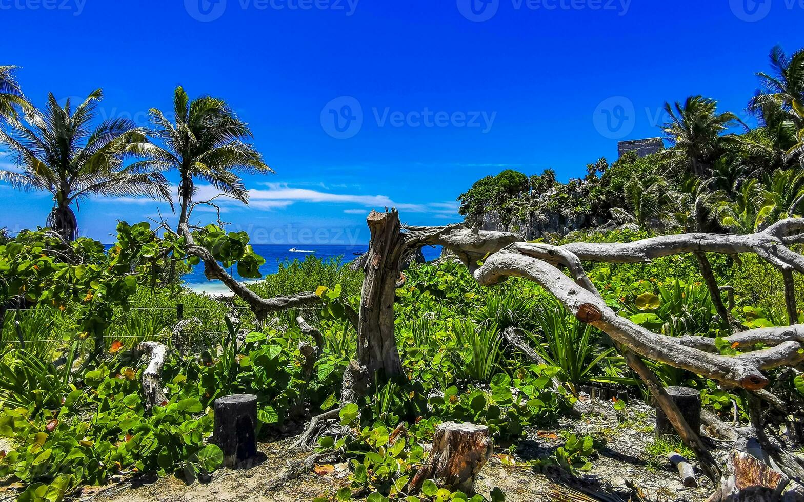 Naturel paysage marin panorama plage vue Tulum ruines maya site Mexique. photo