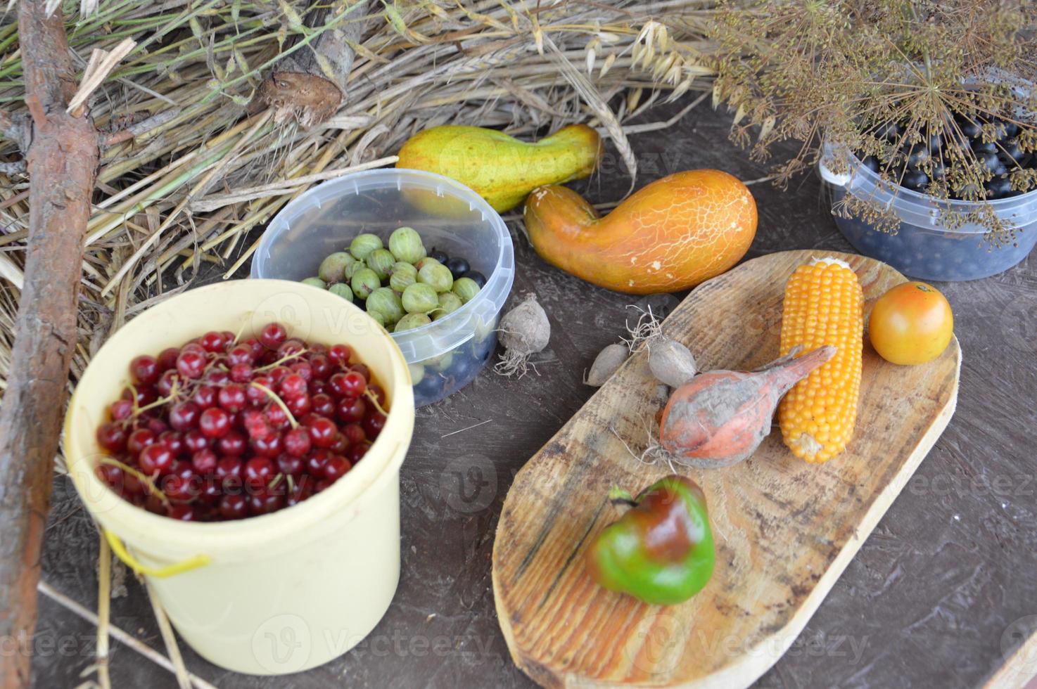 nature morte de baies et de légumes récoltés dans le jardin photo