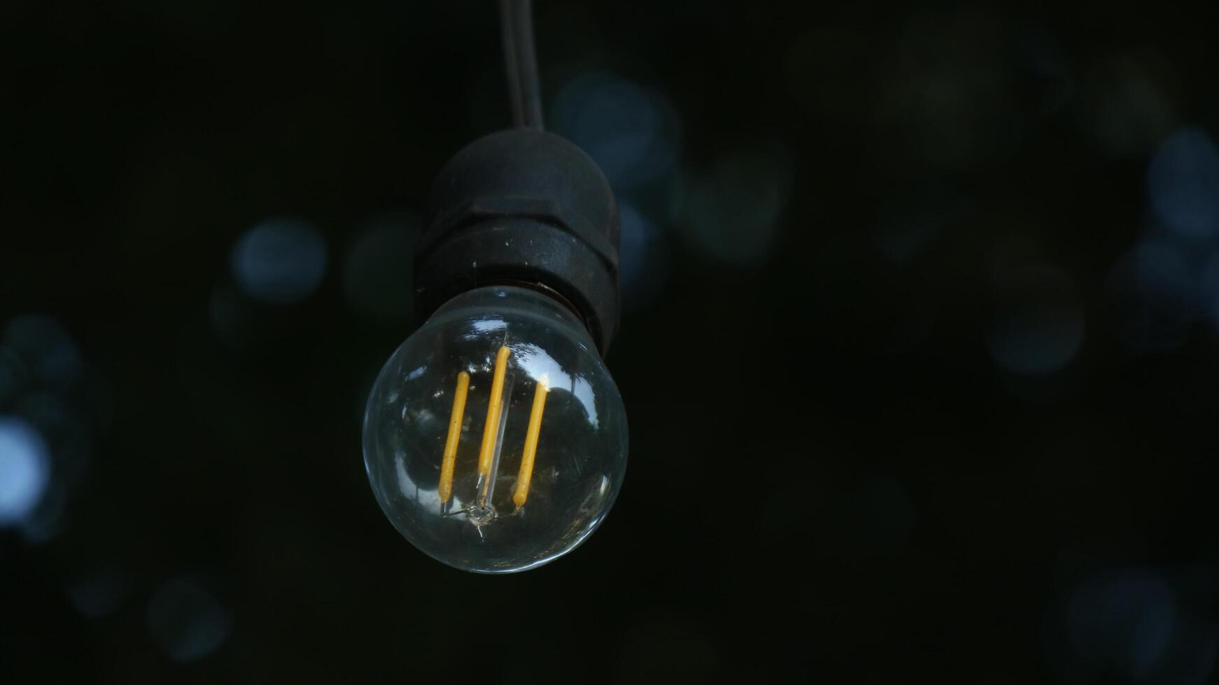 petites lumières sur fond d'arbres bokeh photo