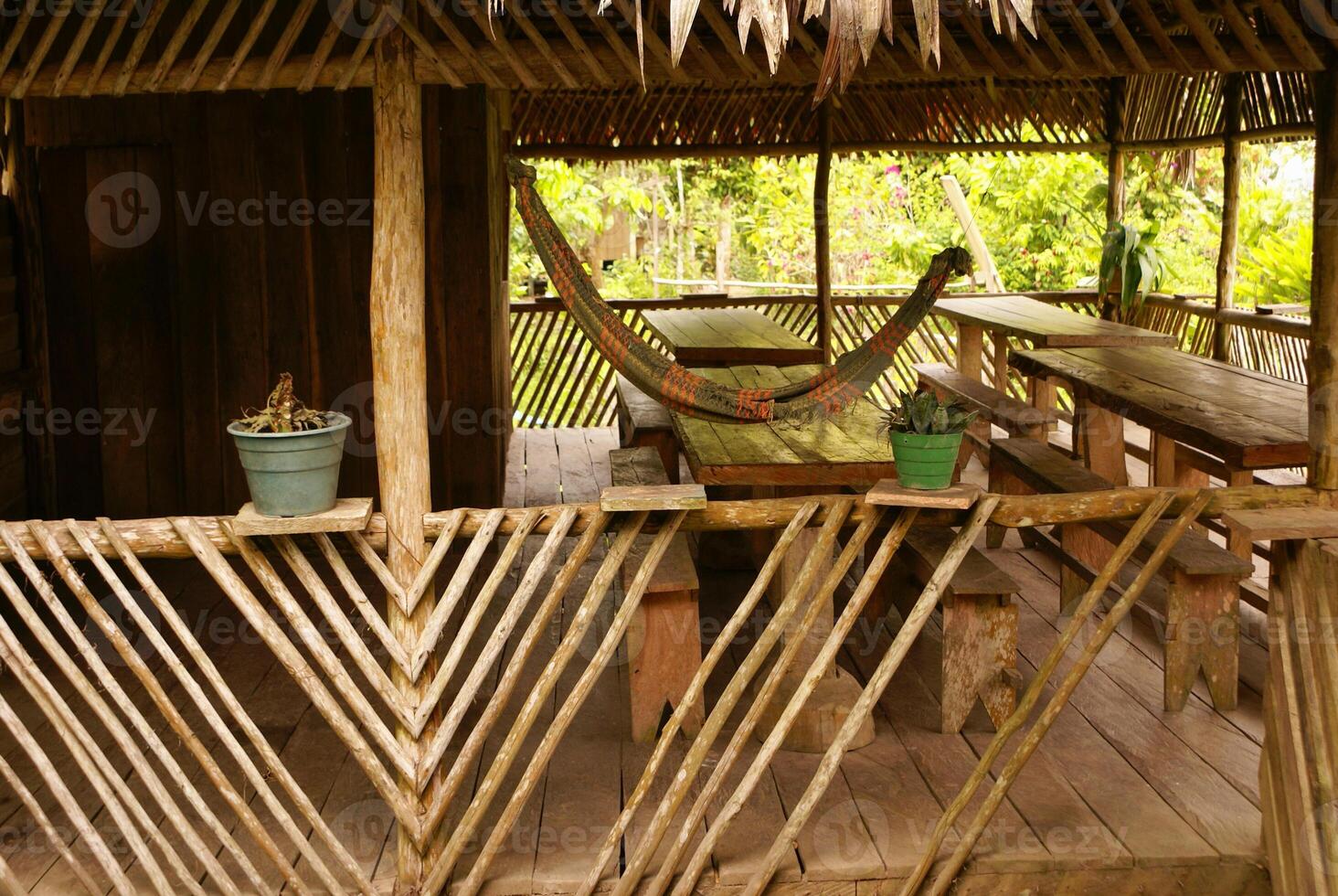 Pérou, péruvien amazonas paysage. le photo présent typique Indien tribus règlement dans amazone