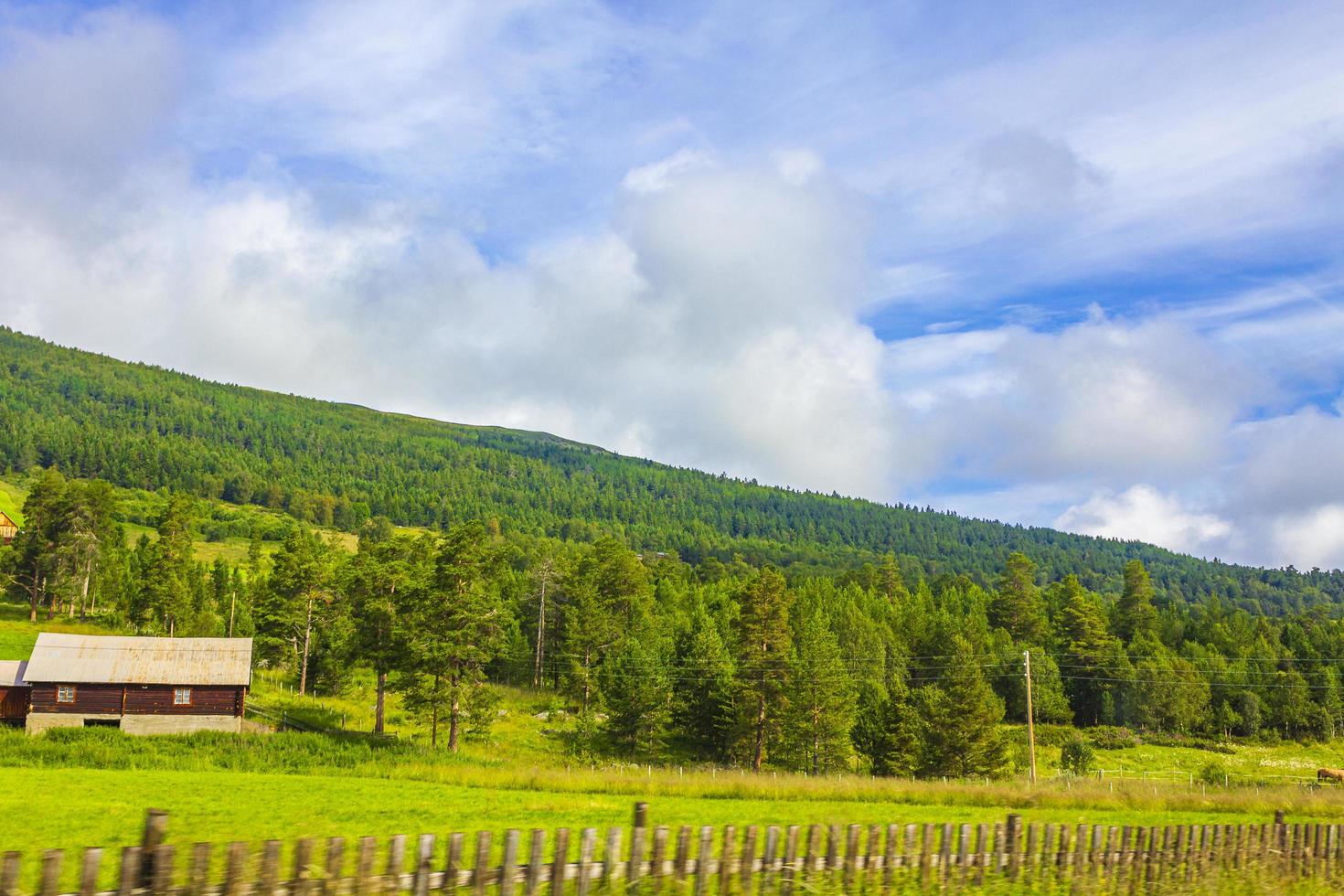 montagnes forêts et fermes dans les prés verts paysage norvégien norvège photo