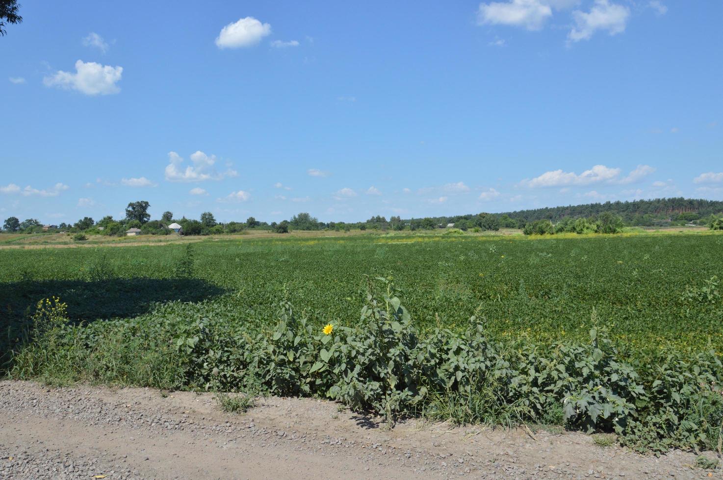 panorama des champs de paysage et des routes dans le village photo