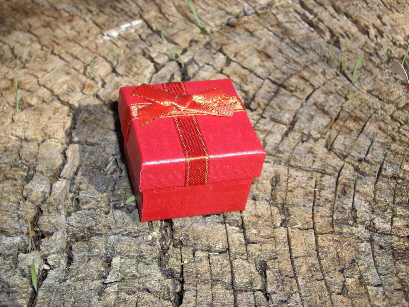 boîte-cadeau rouge se trouve sur une souche d'arbre photo
