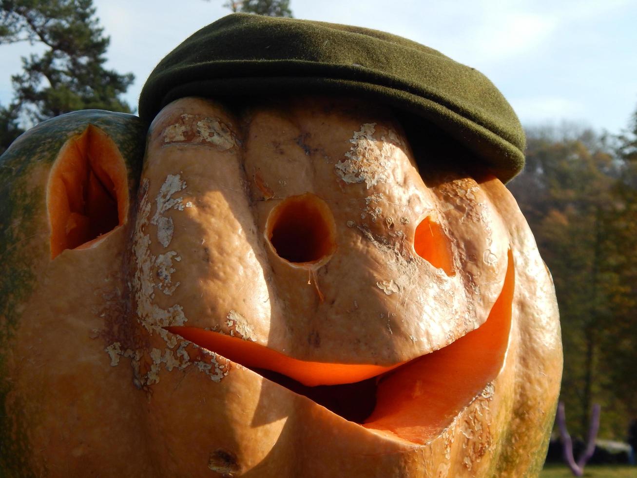 citrouille sculptée halloween photo