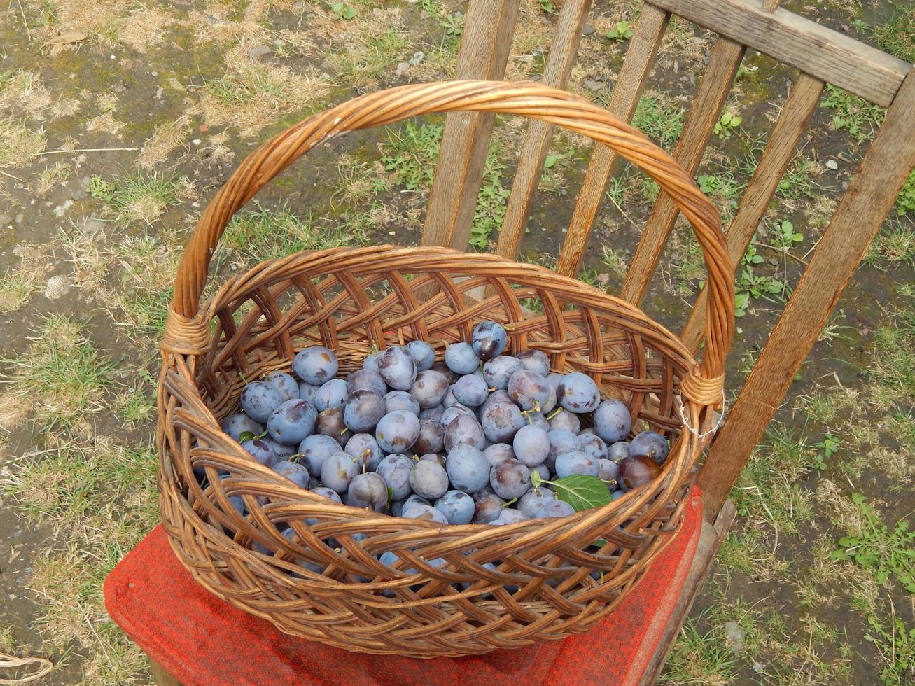 la nourriture du jardin et les légumes frais photo