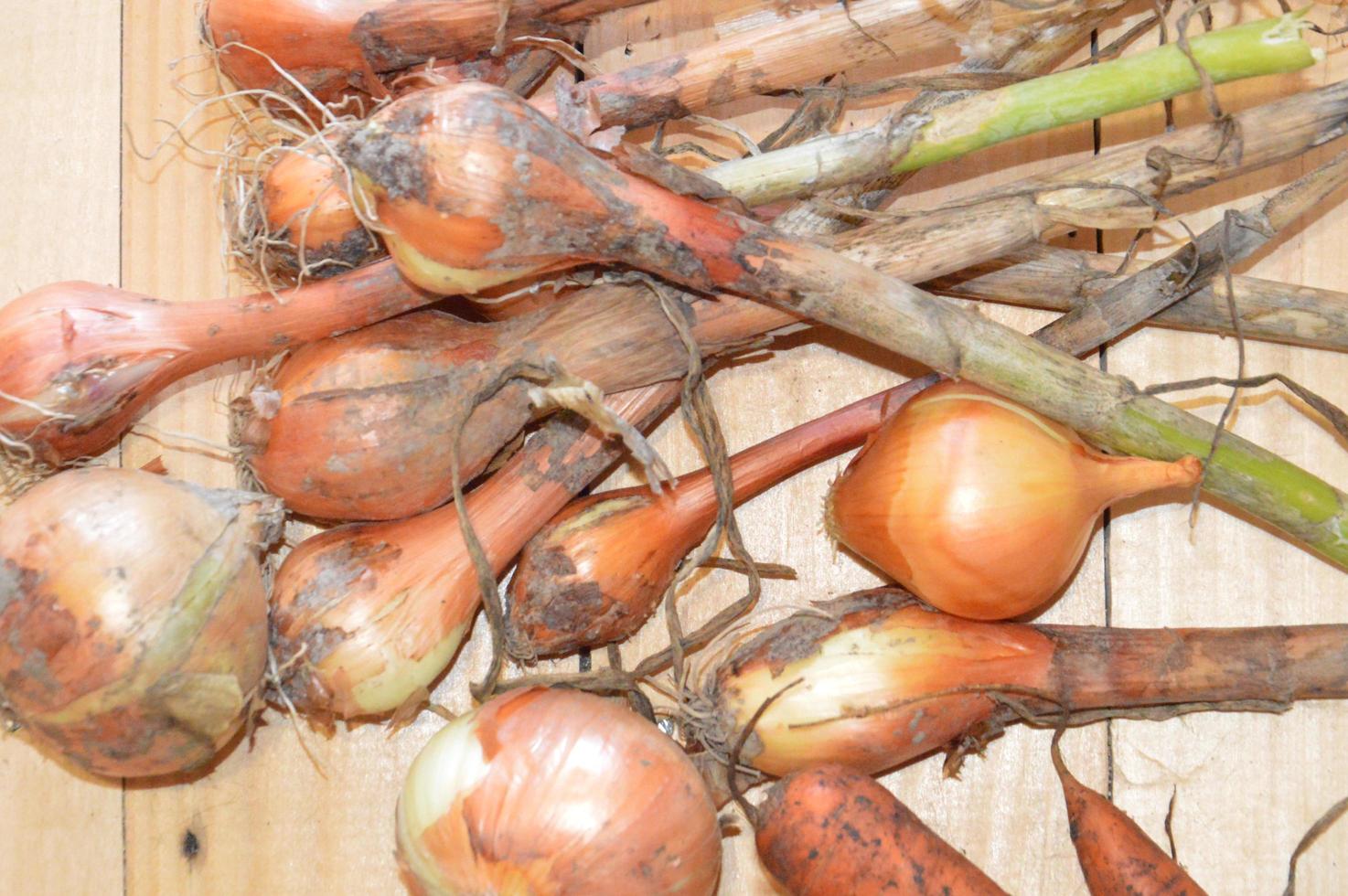 légumes cultivés indépendamment dans le pays photo