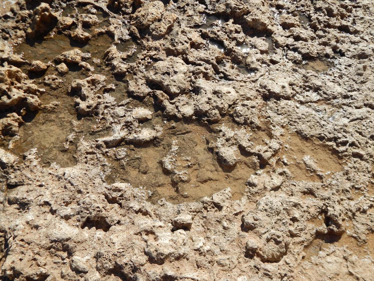 texture de pierre sur la mer rouge d'égypte photo