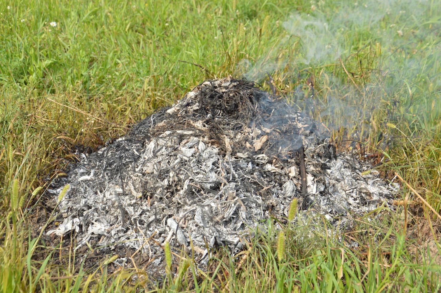 un feu de joie avec des plantes sèches brûle sur un terrain avec du feu et de la fumée photo