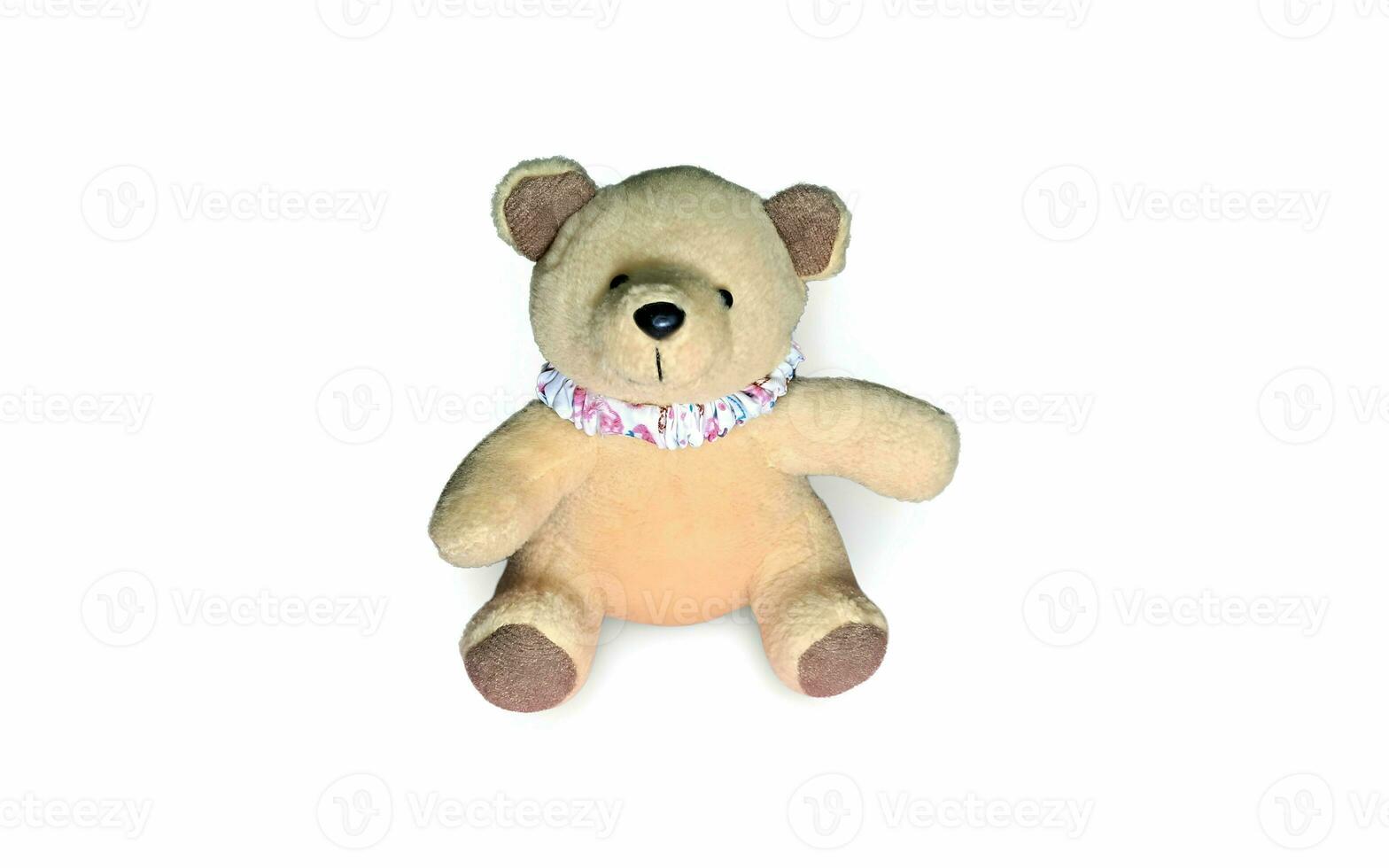 une farci nounours ours avec une rose collier photo