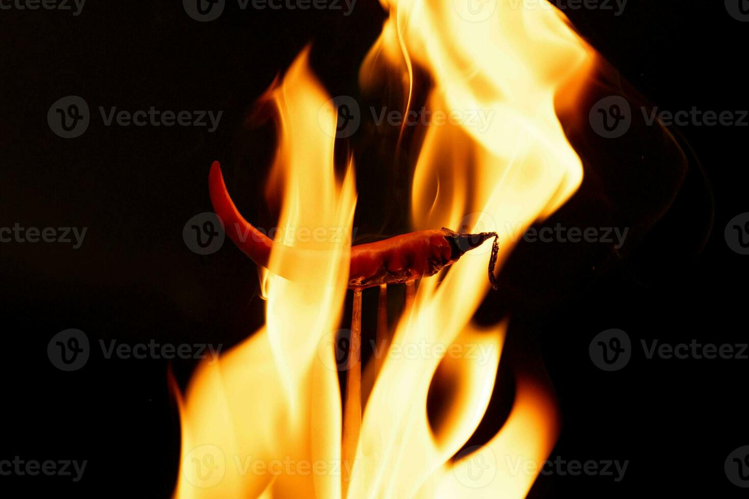 le Chili poivre sur fourchette avec flammes sur noir Contexte. brûlant rouge le Chili poivre. lent mouvement photo