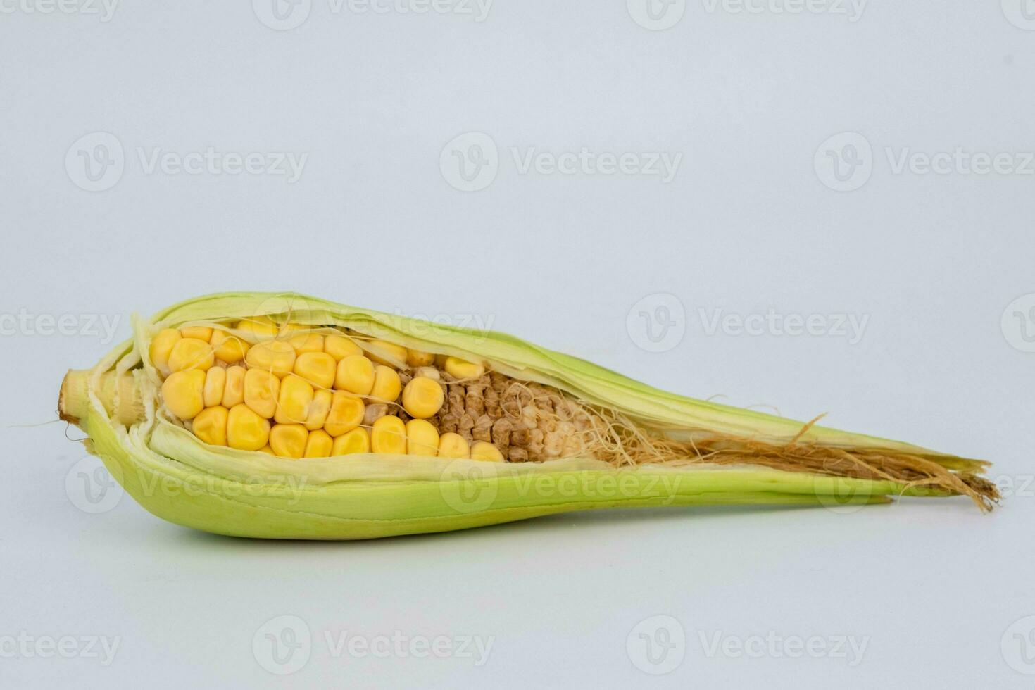 incomplet développement de blé graines sur le épi. blé montré comme un incomplet agricole produit isolé sur blanc Contexte. photo