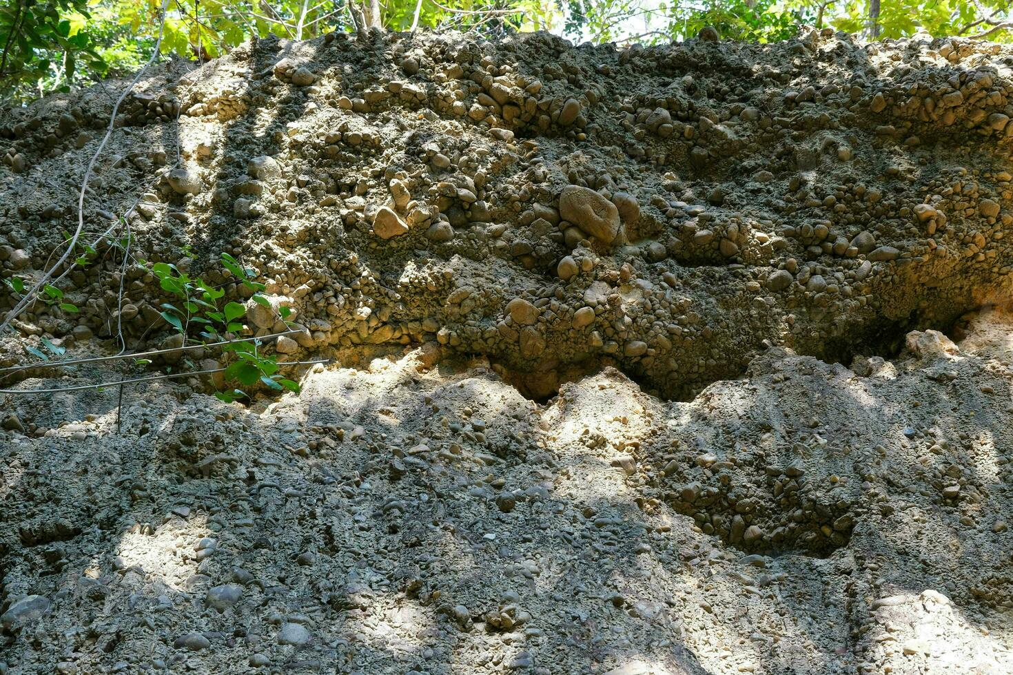 proche en haut de le falaise pierre surface, une Naturel phénomène causé par le érosion de le sédiment cette les flux le long de le cours d'eau, formant une sédimentaire couche avec arrondi rivière rochers embarqué dans il. photo