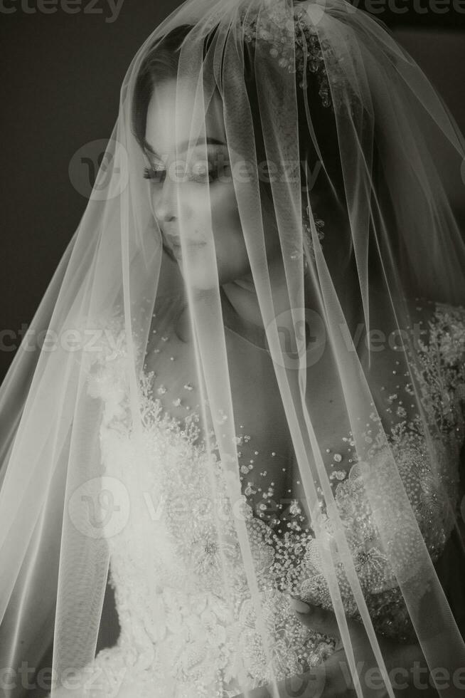 portrait de le la mariée. le la mariée dans une robe, couvert avec une voile, pose. magnifique cheveux et se maquiller. ouvert buste sur le robe. diadème avec cristaux. noir et blanc photo