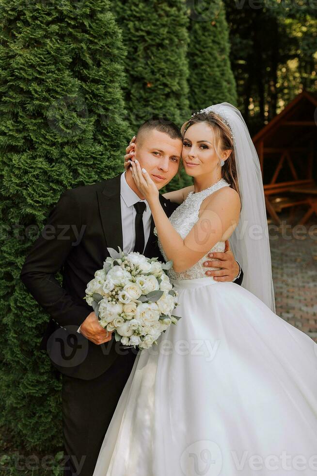 une élégant jeune marié dans une noir costume et une mignonne la mariée dans une blanc robe avec une longue voile sont étreindre dans une parc. mariage portrait de souriant et content jeunes mariés. photo