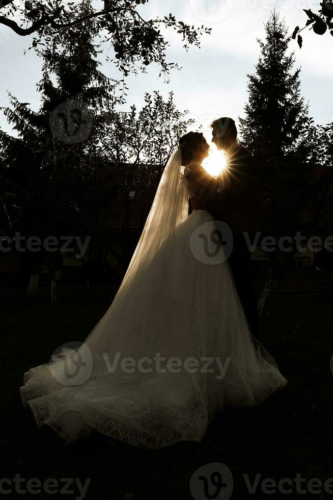 une mariage couple en portant mains tandis que permanent dans une jardin contre un incroyable le coucher du soleil. photo