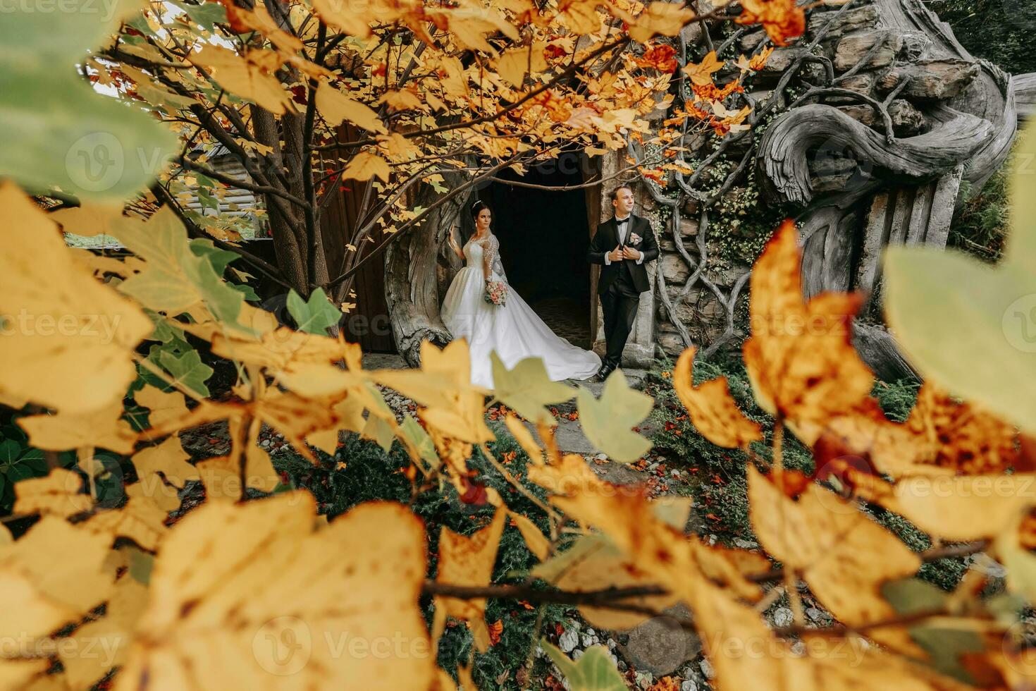 la mariée et jeune marié dans l'automne forêt, mariage cérémonie, de face voir. jeune marié et la mariée sur le Contexte de jauni l'automne feuilles. le photo a été pris par le jaunissement feuilles de le des arbres