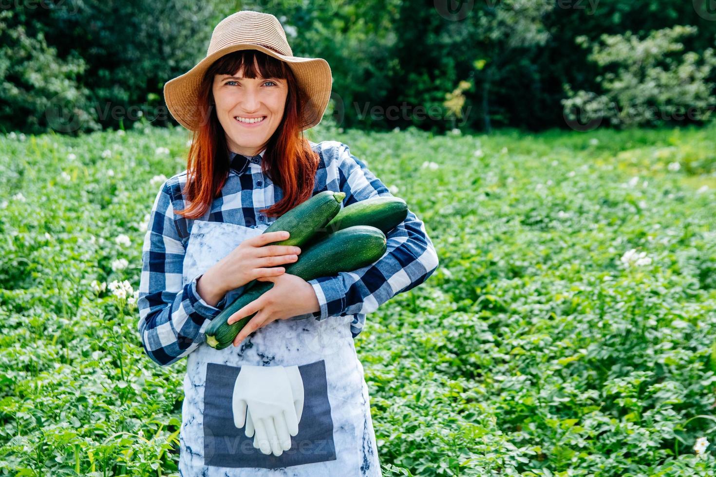 Une agricultrice tient une courgette dans son potager photo