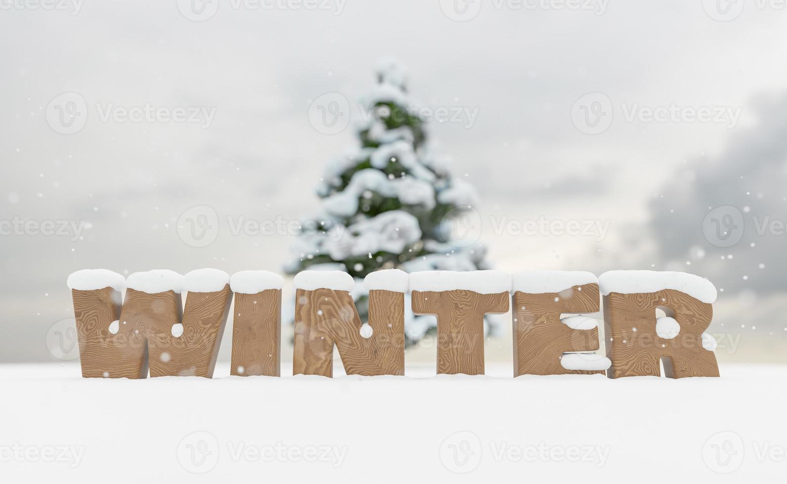 panneau en bois enneigé avec le mot hiver photo