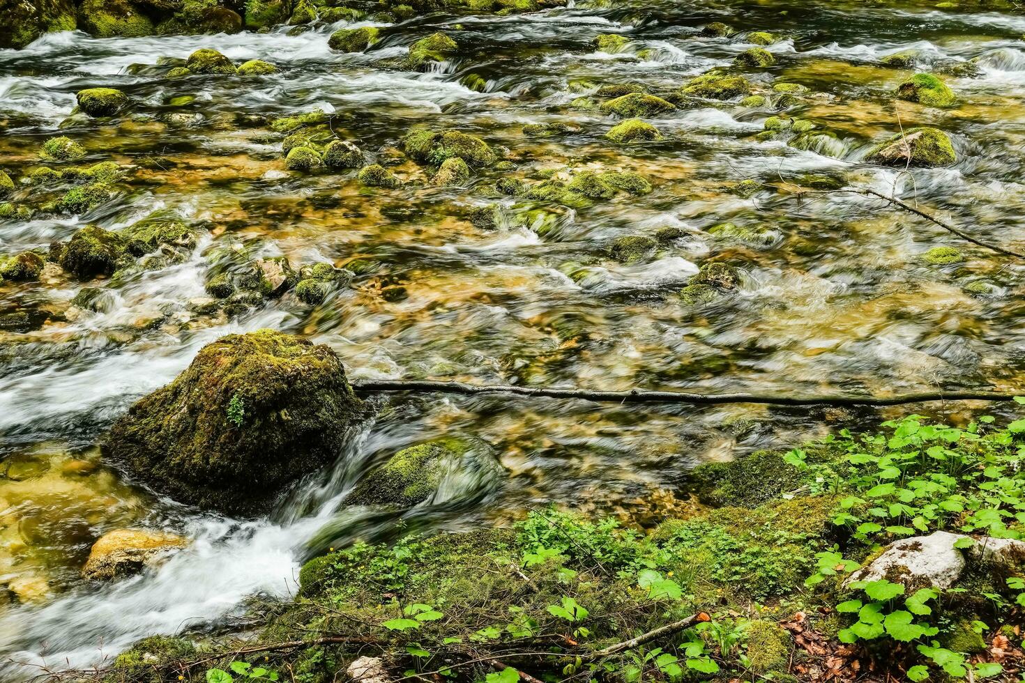 vue à une magnifique clair ruisseau avec des pierres et vert mousse sur il photo