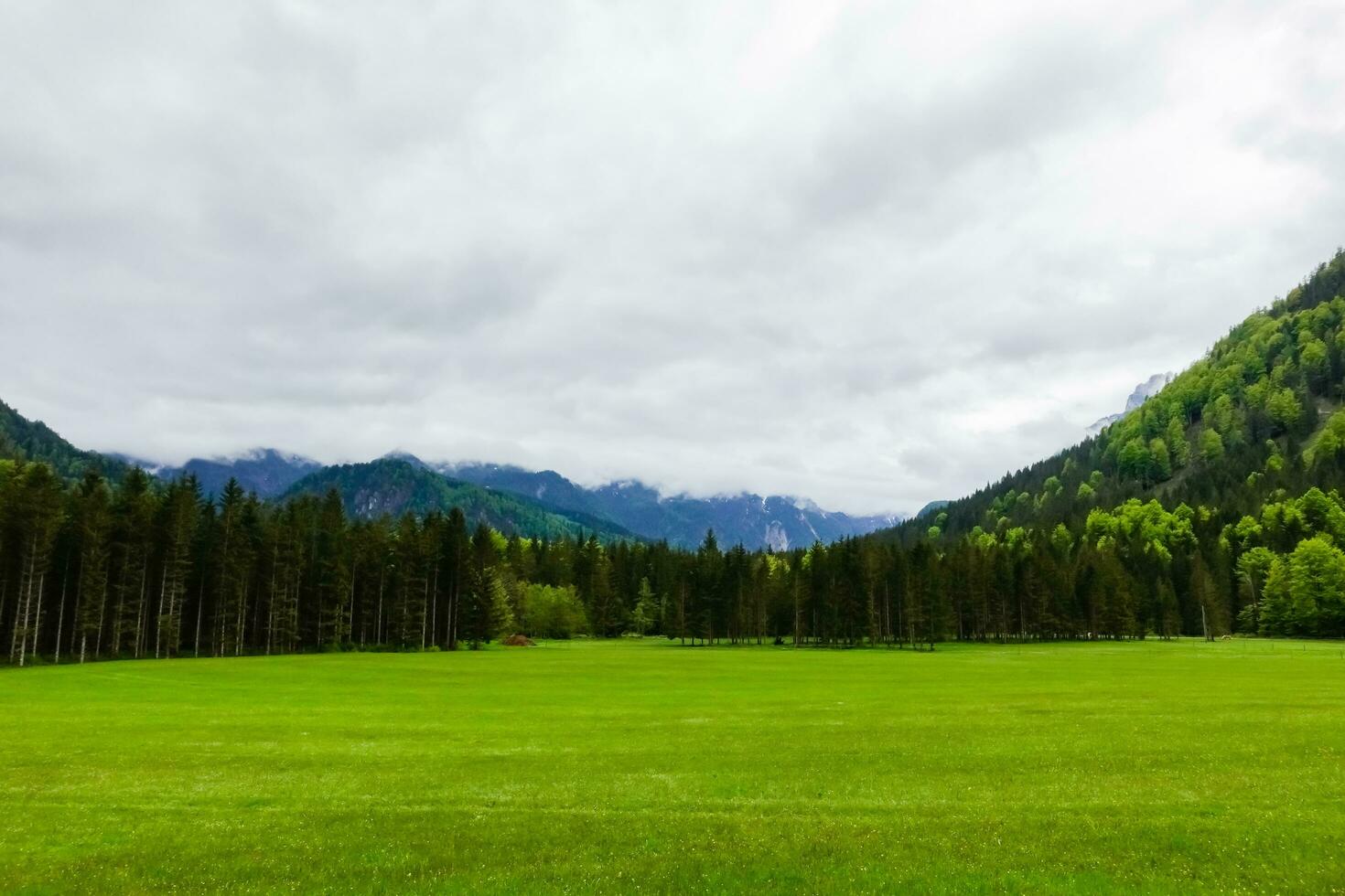 vert Prairie avec une forêt et montagnes avec dense des nuages après pluie photo