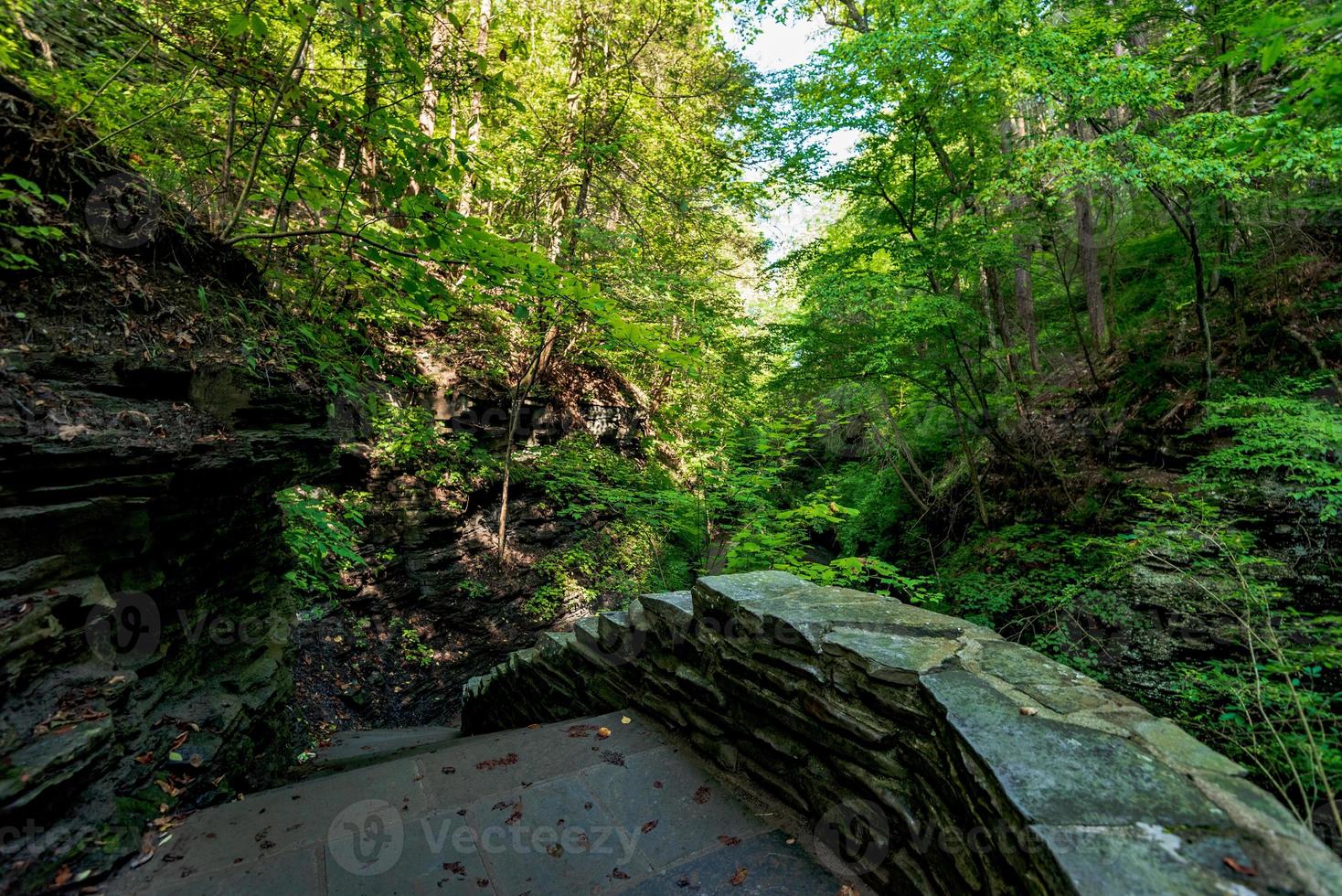 parc d'état de Watkins Glen photo