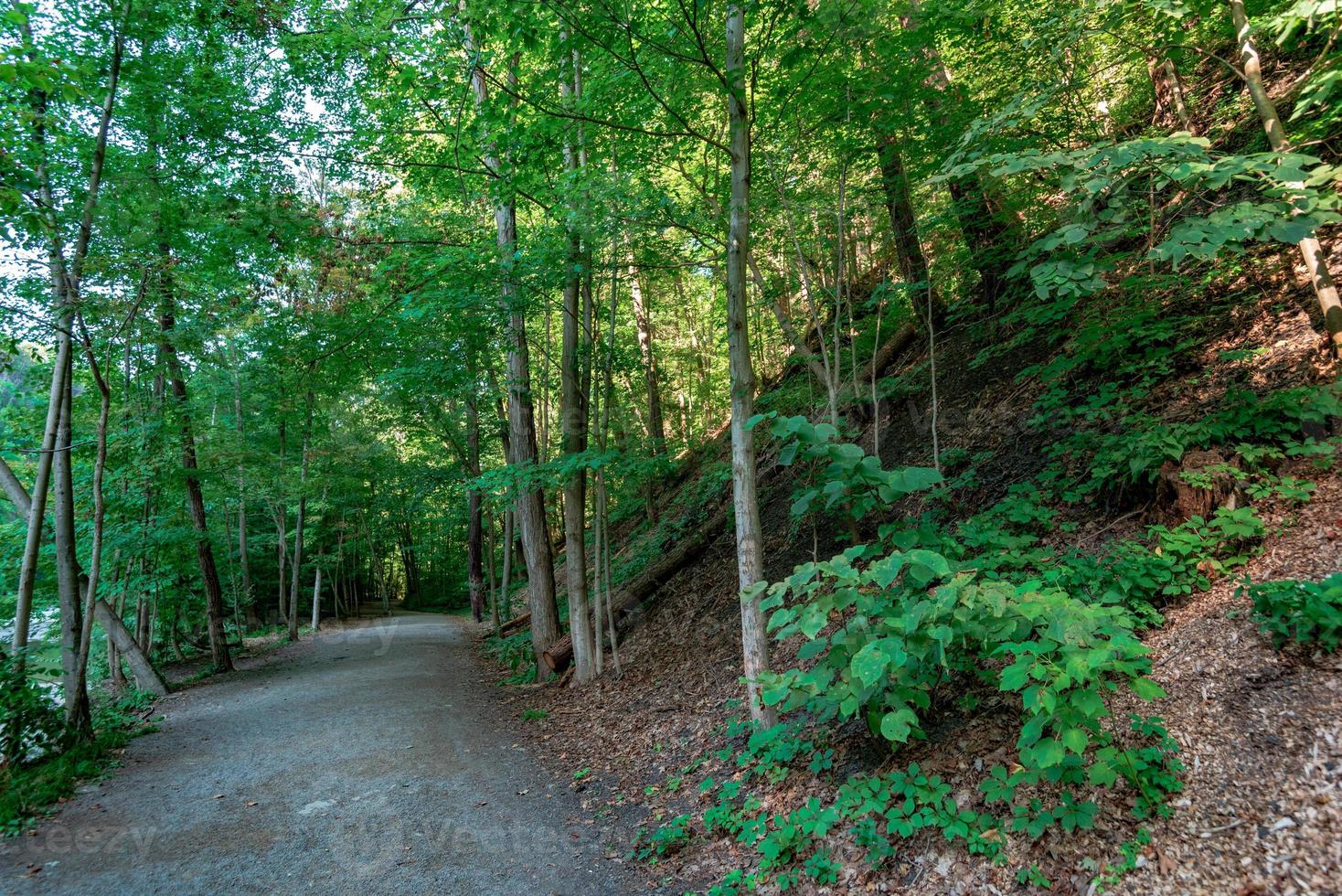 chutes de taughannock - sentier des gorges photo