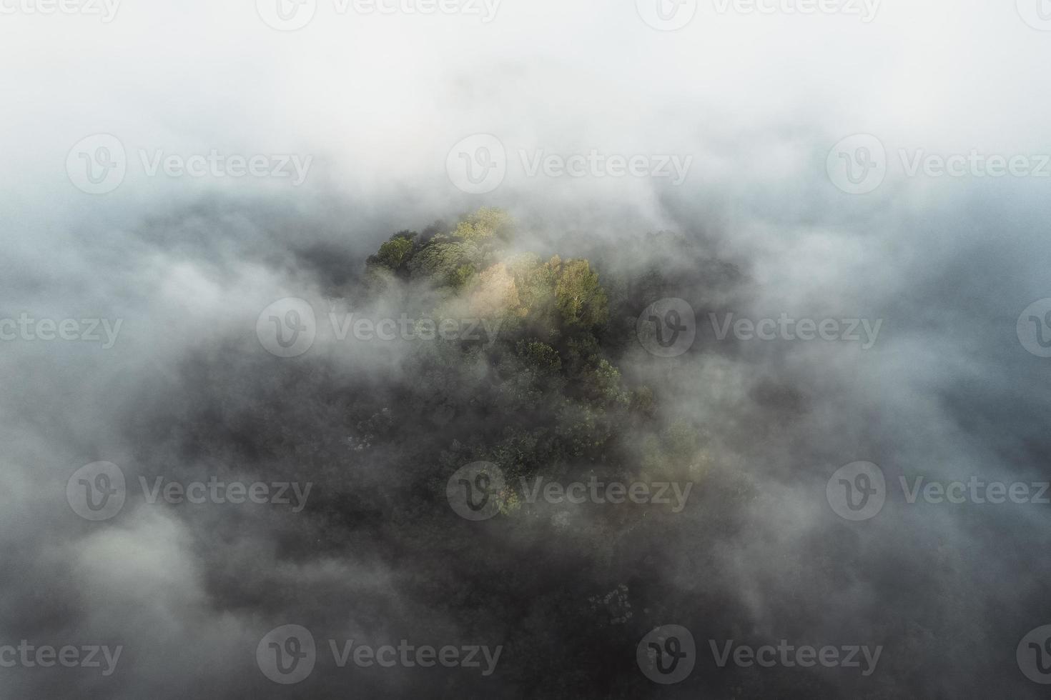 brouillard du matin dans la forêt d'en haut photo