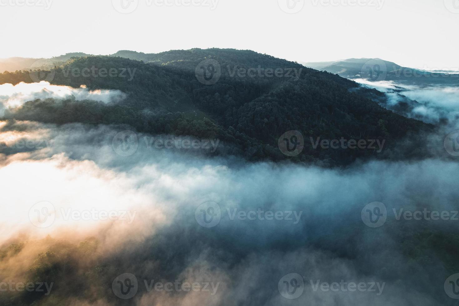 brouillard du matin dans la forêt d'en haut photo
